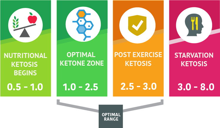 Measuring Ketones On A Ketogenic Diet KetoTrak